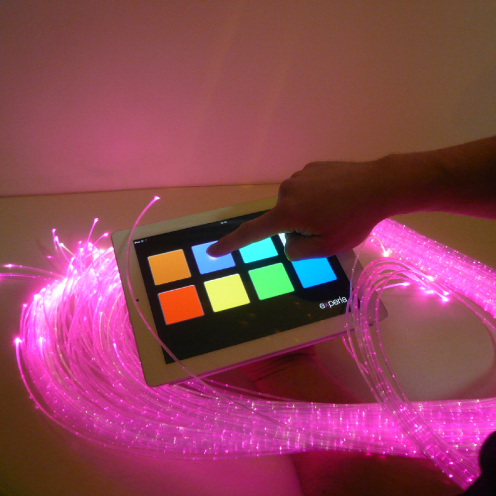 3 Sensory Differences You Must Understand Blog